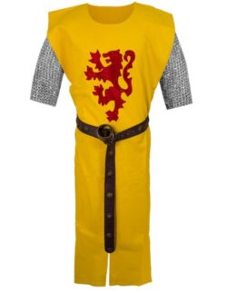 Tabard Robert Ier dit Robert Bruce