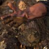 Gants de fauconnier cuir marron – Image 2