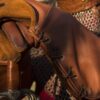 Gants de fauconnier cuir marron – Image 5