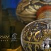 Glaive de Jules César Art Gladius avec fourreau – Image 3