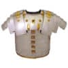 lorica segmentata newstead