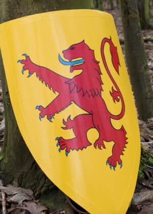 Bouclier de Robert the Bruce – Image 2