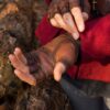 Gants celtiques cuir marron – Image 5