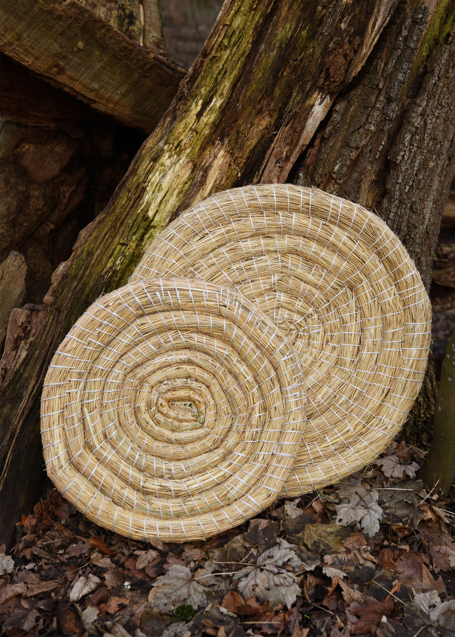 Cible d'archer traditionnelle 80 cm 5 Cible d'archer traditionnelle 80 cm – Image 5