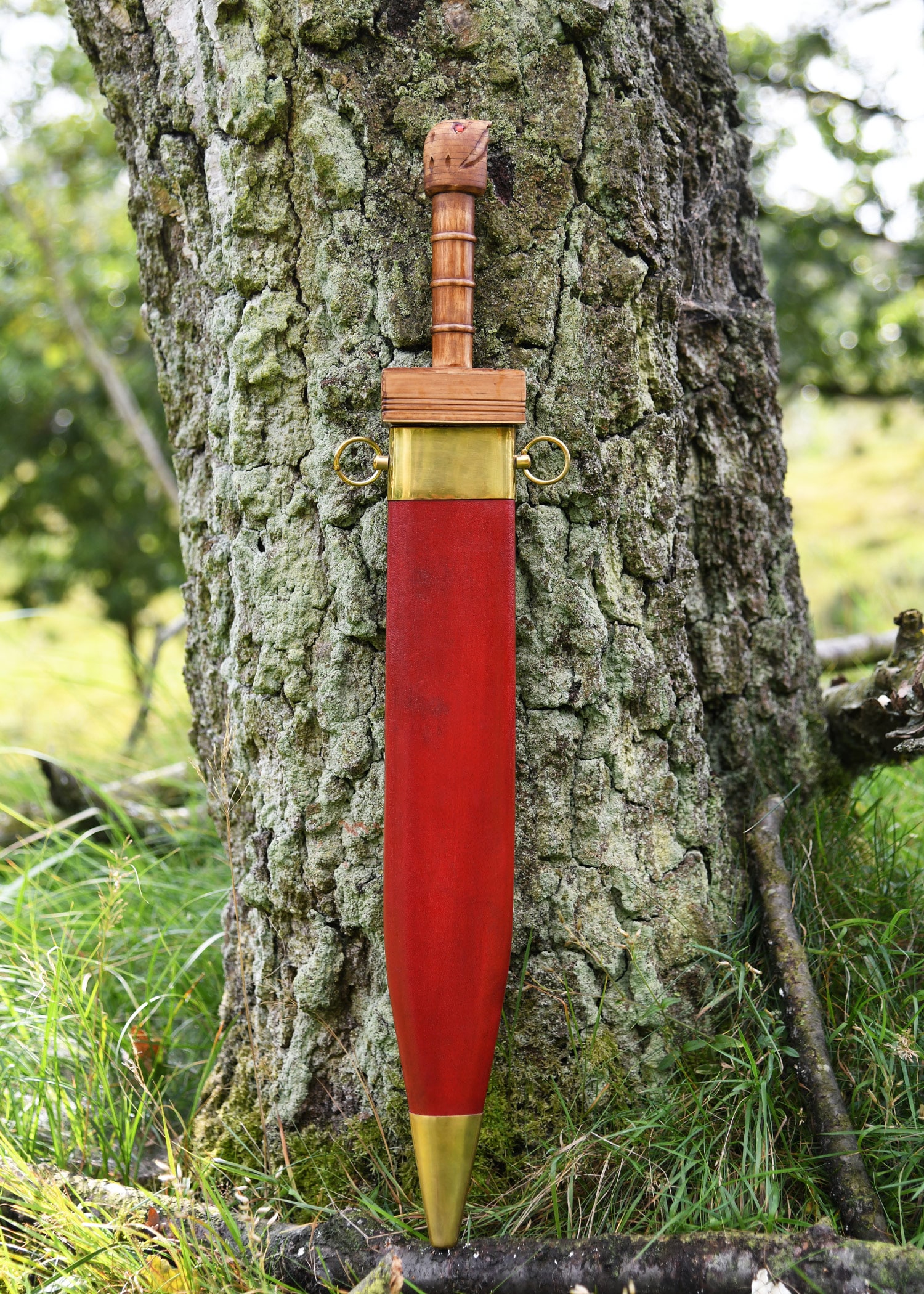 Parazonium 4 Parazonium – Image 4