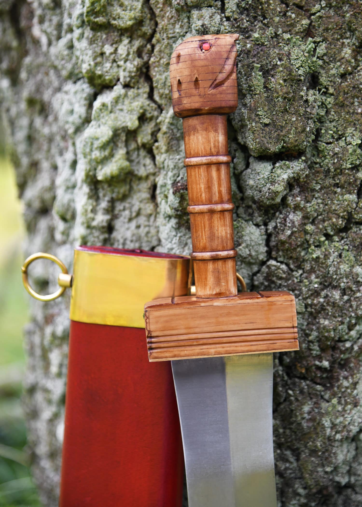 Parazonium 5 Parazonium – Image 5