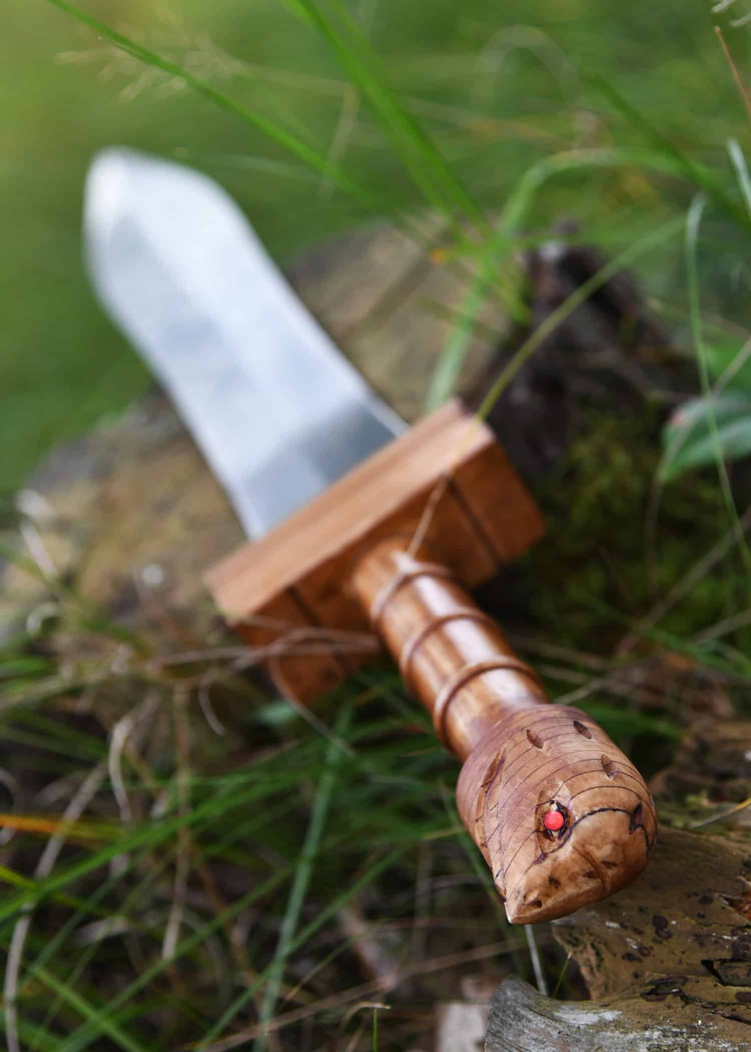 Parazonium 6 Parazonium – Image 6