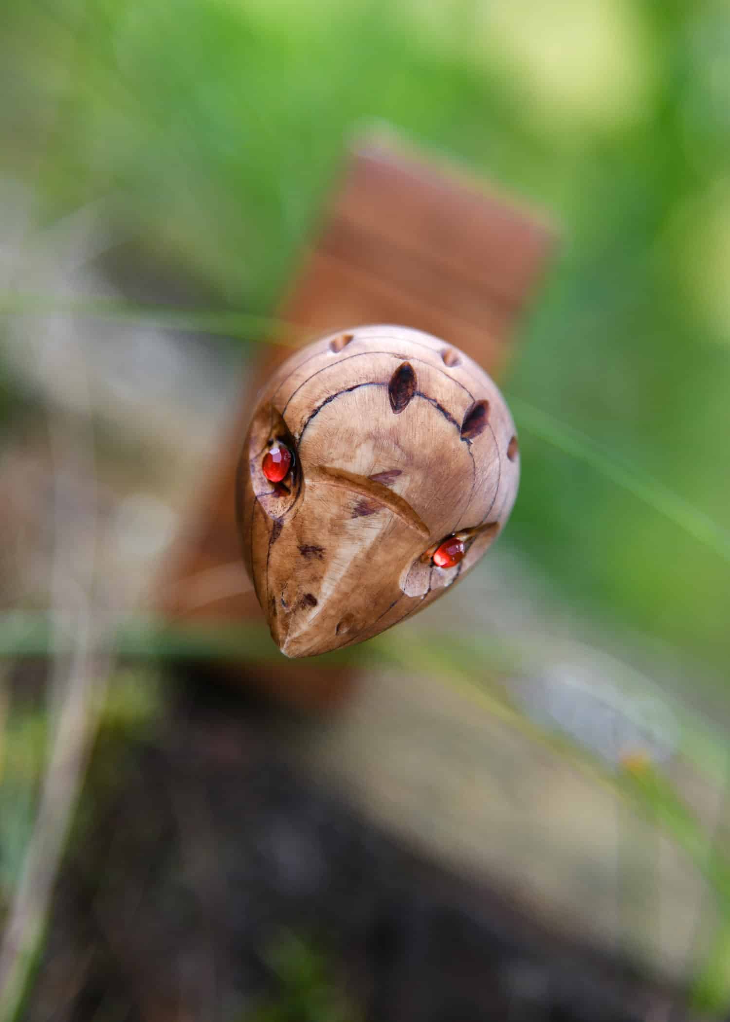 Parazonium 7 Parazonium – Image 7