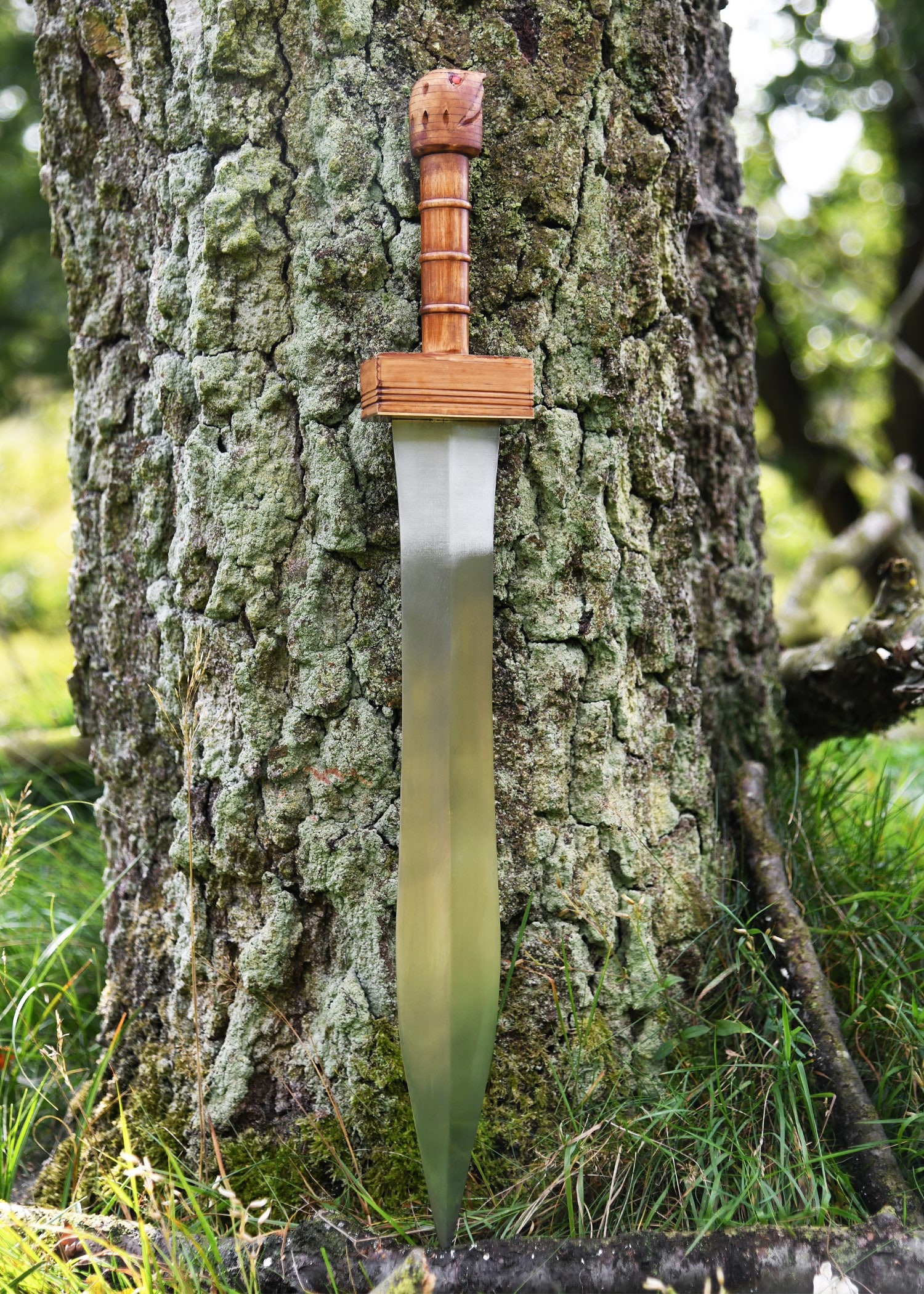 Parazonium 8 Parazonium – Image 8