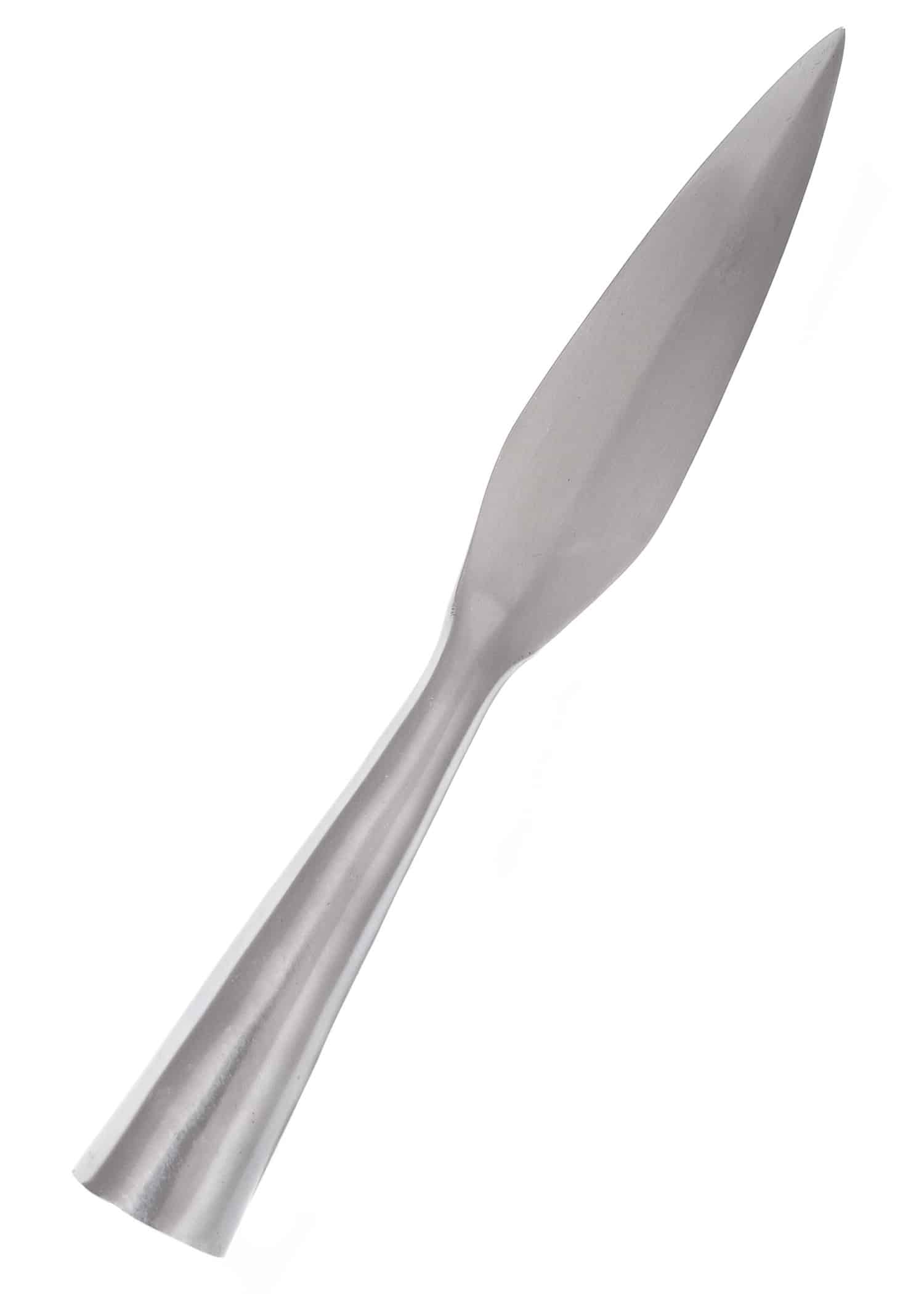 Pointe de lance Haut-Moyen-Age 28.5 cm 1 Pointe de lance Haut-Moyen-Age 28.5 cm