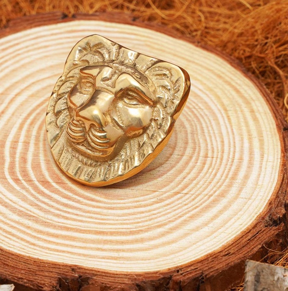 Ornement Tête de Lion en Laiton Massif Antique 3 Ornement Tête de Lion en Laiton Massif Antique – Image 3