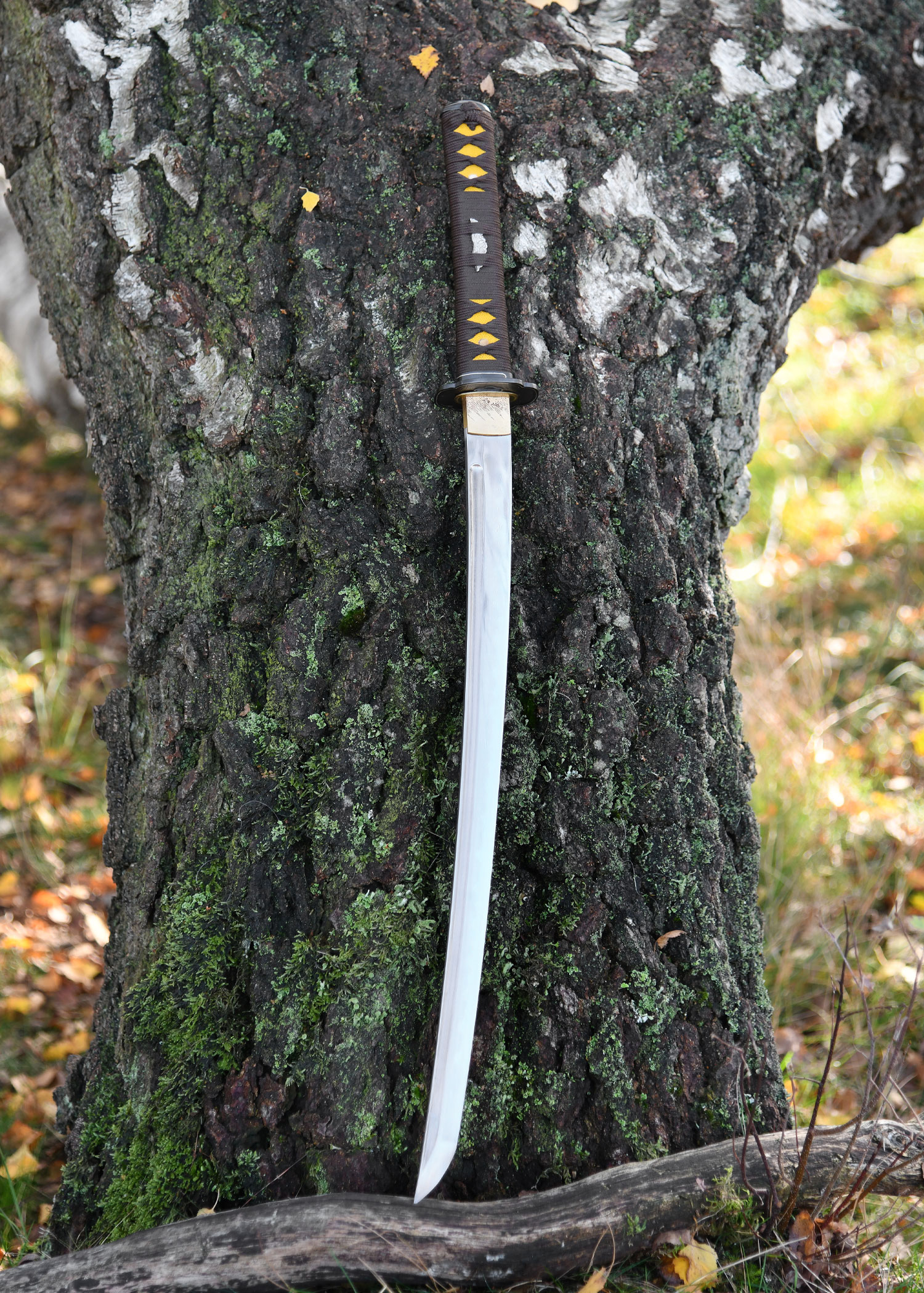 Wakizashi Senshi Erai Hito – BattleBlades, lame en acier 1095 plié