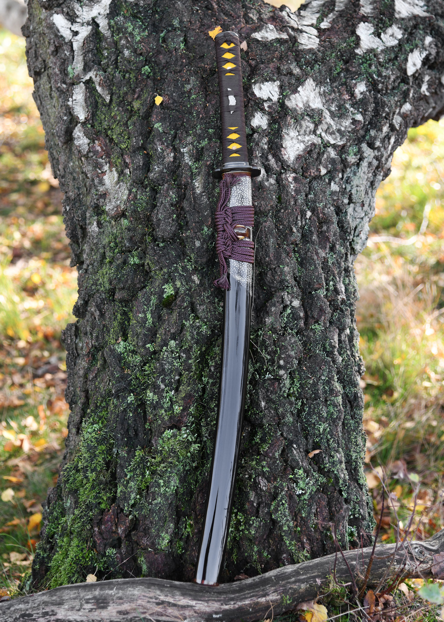 Wakizashi Senshi Erai Hito – BattleBlades, lame en acier 1095 plié
