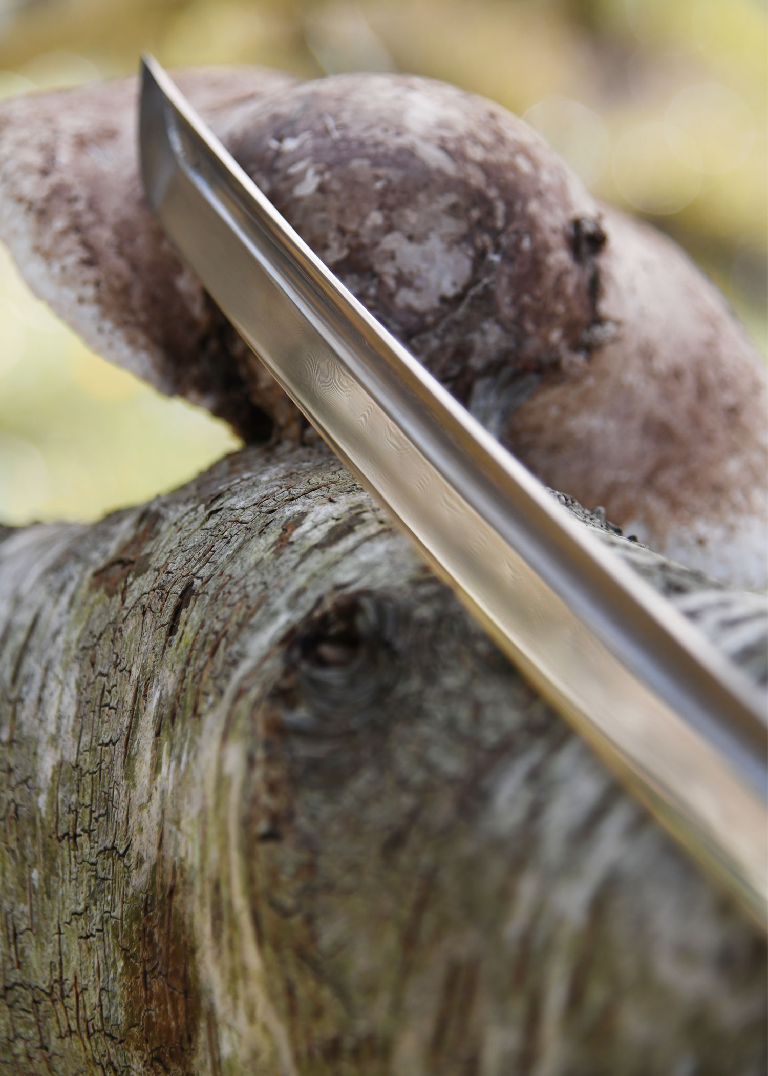 Wakizashi Senshi Erai Hito – BattleBlades, lame en acier 1095 plié