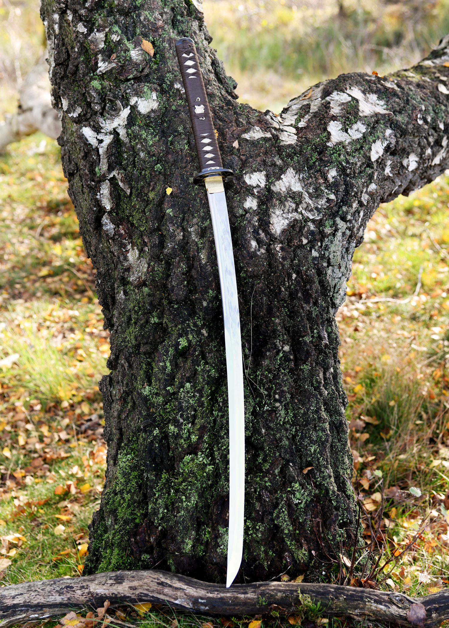 Katana Yokai Oni – BattleBlades, lame T10 affûtée et saya au dragon
