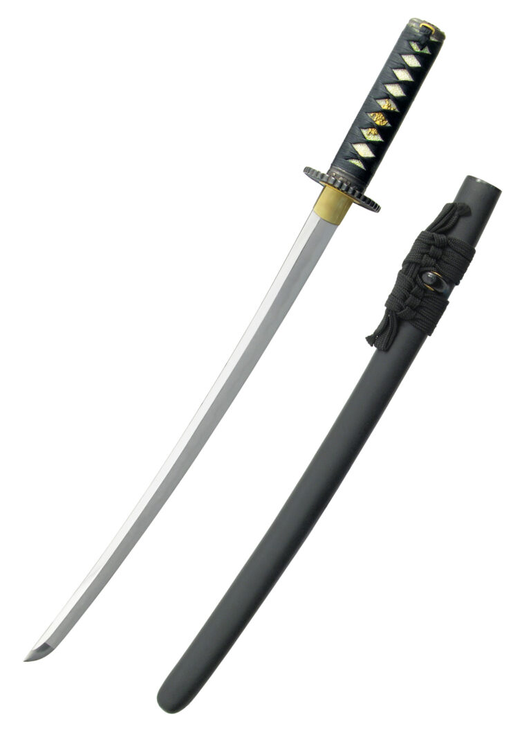 Wakizashi Practical Plus – Hanwei, lame forgée en acier 1566