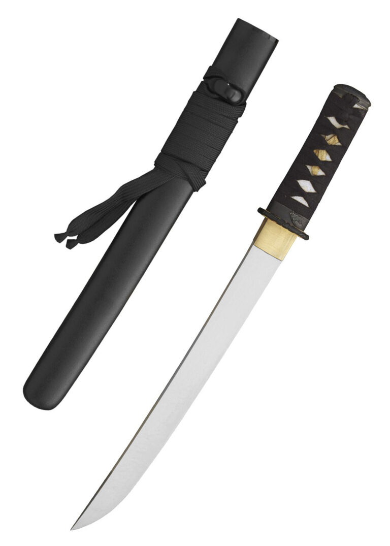 Tanto Raptor – Hanwei, lame en acier 5160 dessinée par James Williams