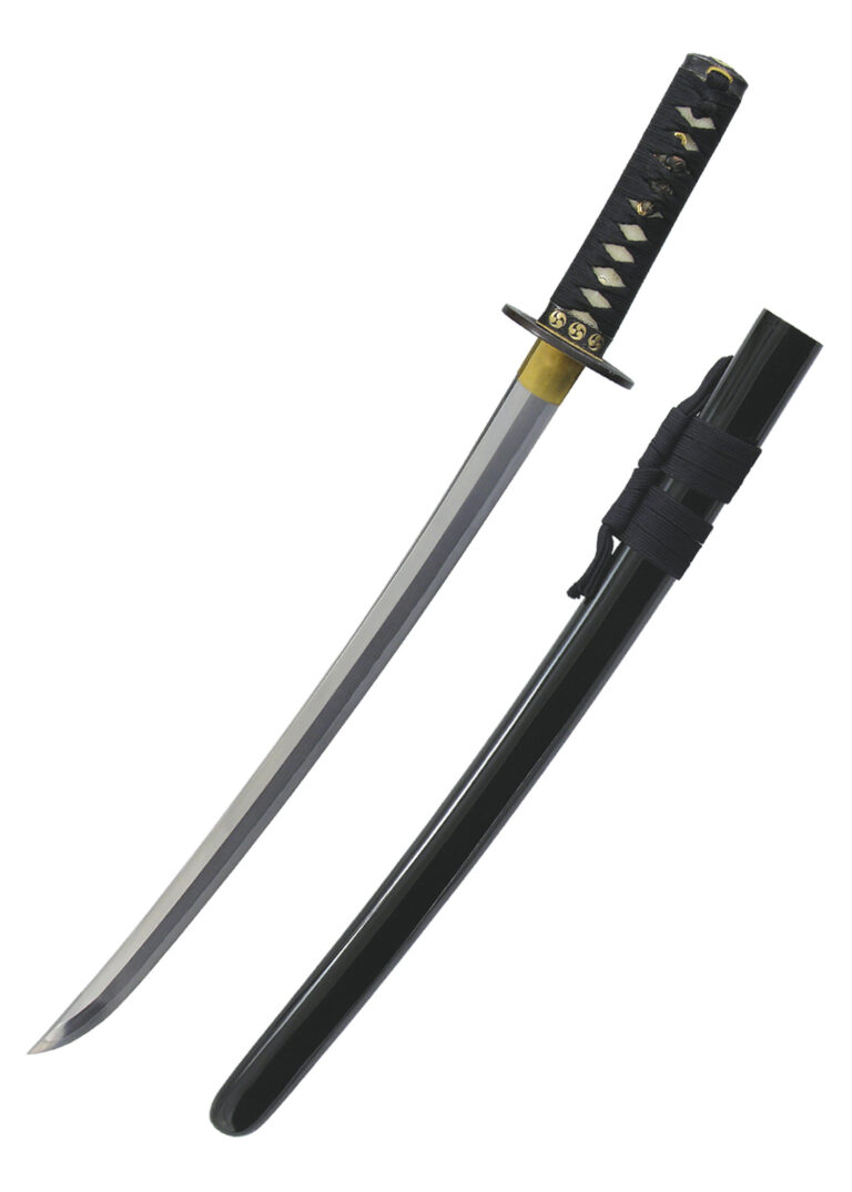 Wakizashi Wind and Thunder – Hanwei, lame épaisse en acier T10